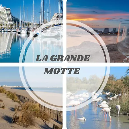 Lejlighed Le Dream Beach-terrasse-vue D'exception-wifi-parking - Pros Servicesconciergerie