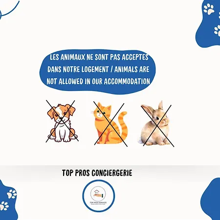 Le Dream Beach-terrasse-vue D'exception-wifi-parking - Pros Servicesconciergerie Lejlighed Palavas-les-Flots