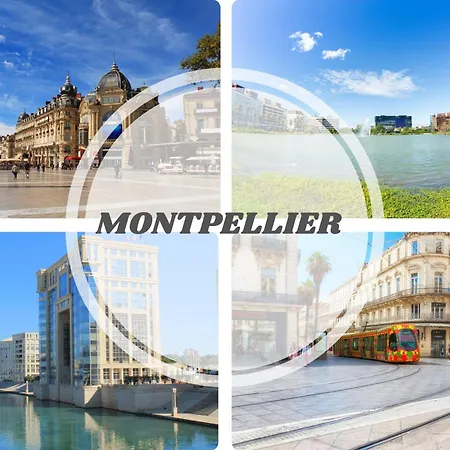 Apartment Le Dream Beach-terrasse-vue D'exception-wifi-parking - Pros Servicesconciergerie
